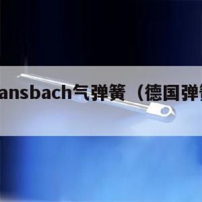 德国bansbach气弹簧（德国弹簧最好品牌）